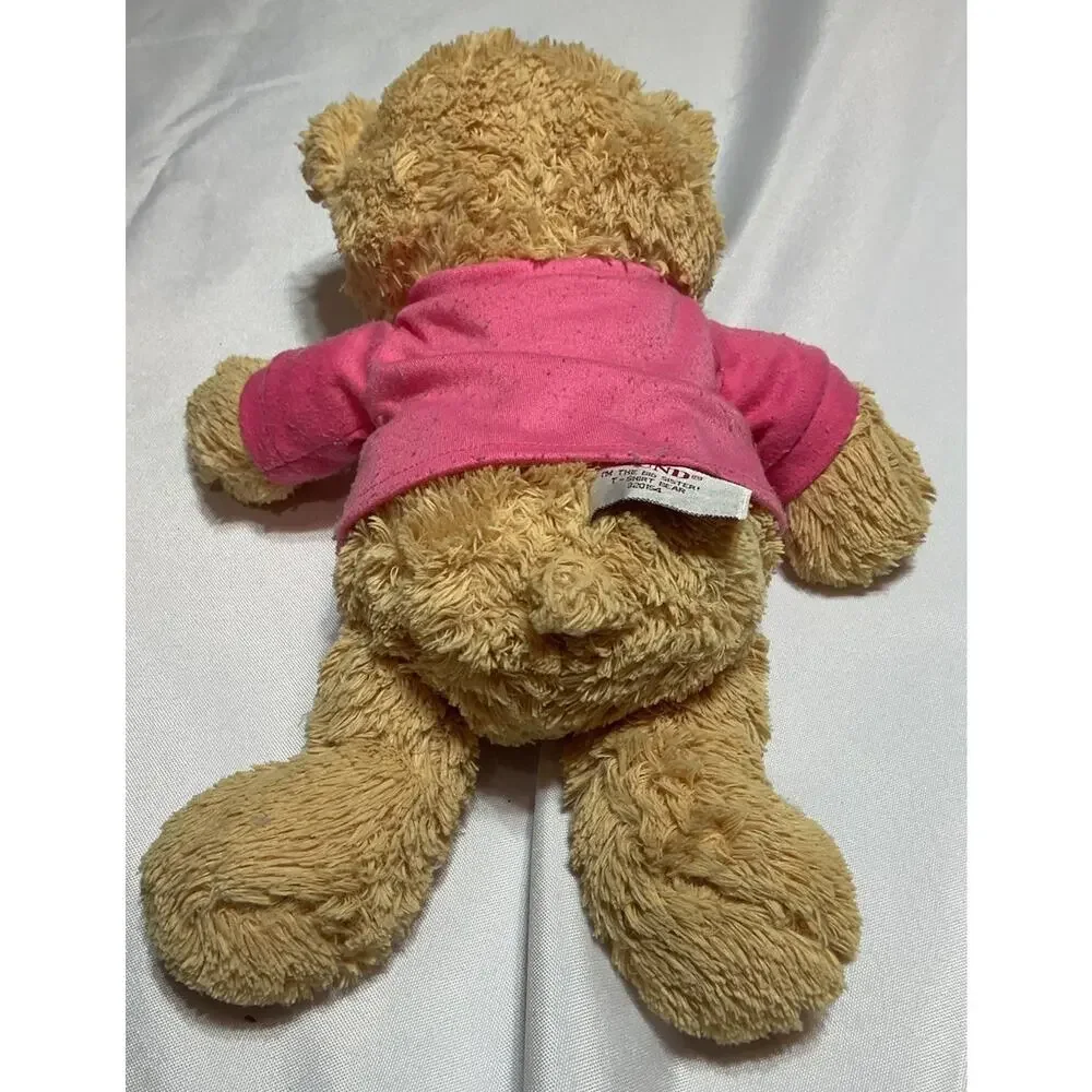 GUND Brown Bear I’m The Big Sister Teddy Bear Pink Shirt Stuffed Animal Toy_4